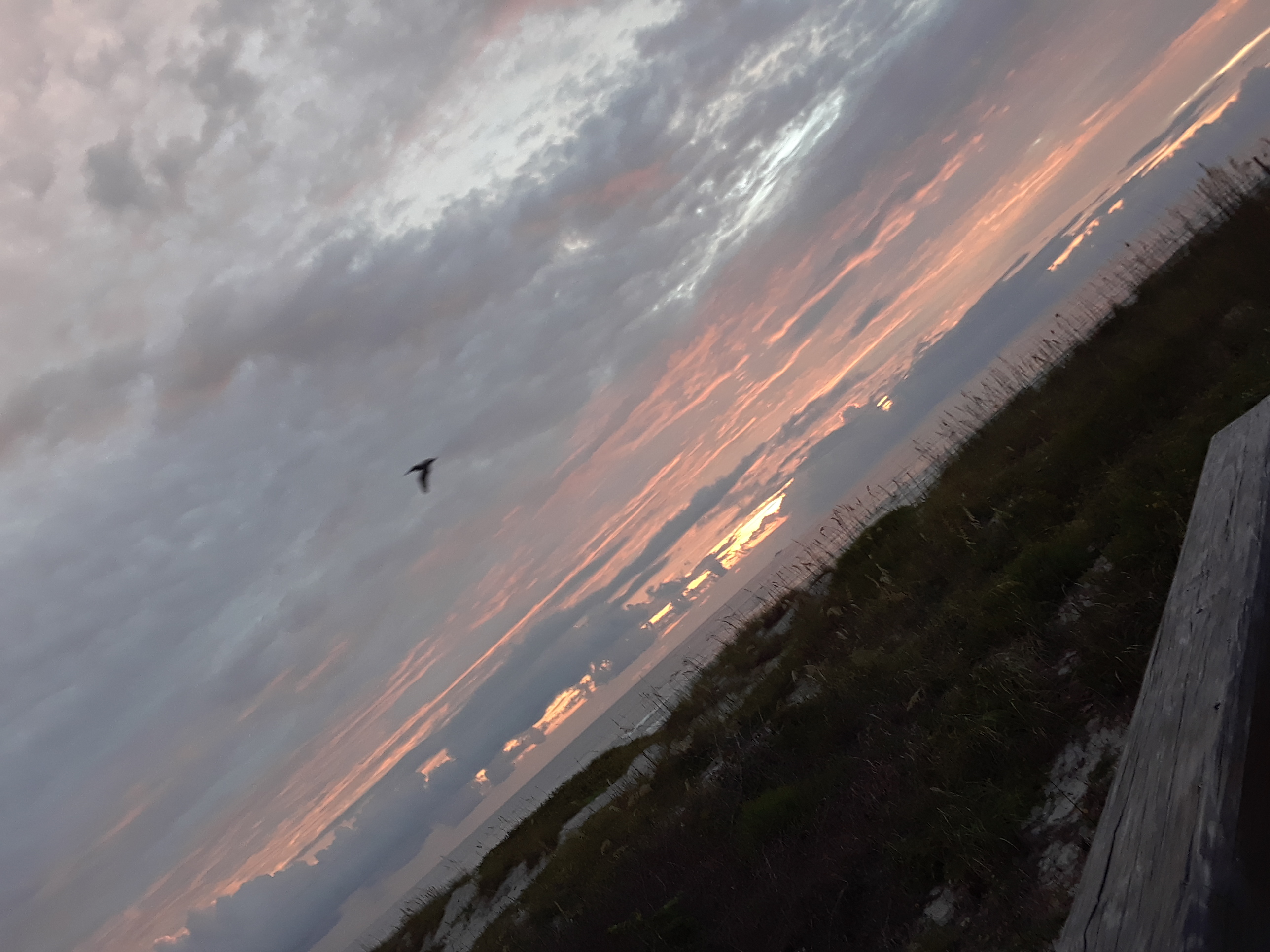 dunes